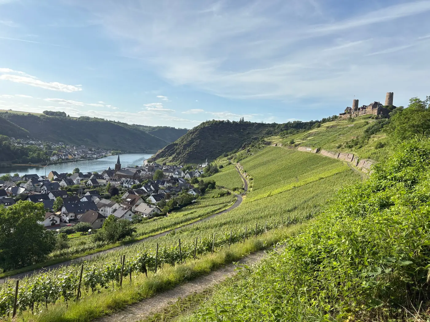 Zonnig uitzicht over een rivierdal met wijngaarden in Duitsland
