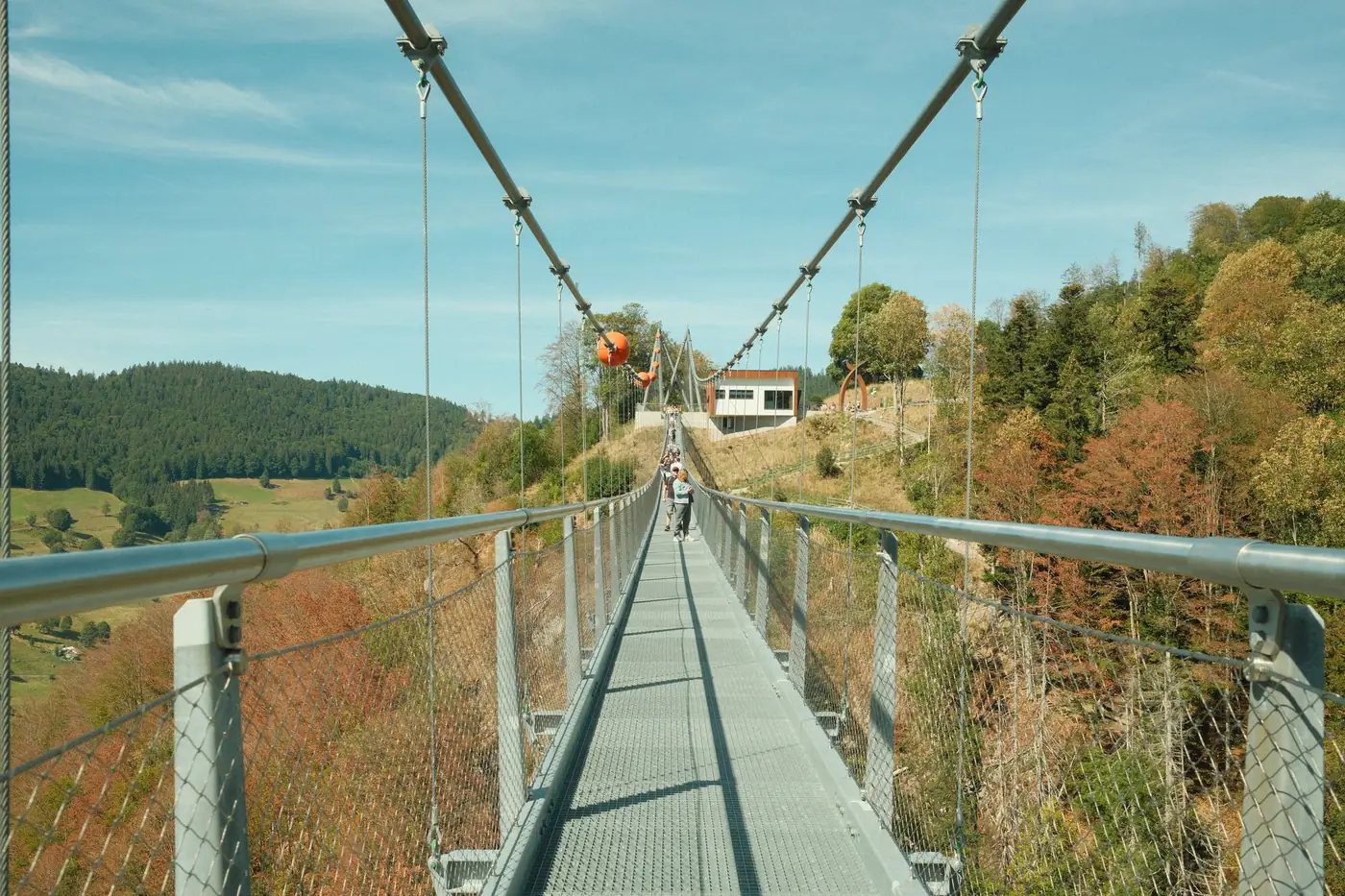 Hangbrug over een bosdal in het Zwarte Woud