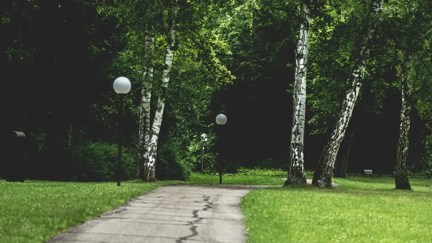 Tranquil scene with pathway and birch trees in a serene park setting in Bad Mergentheim, Germany.