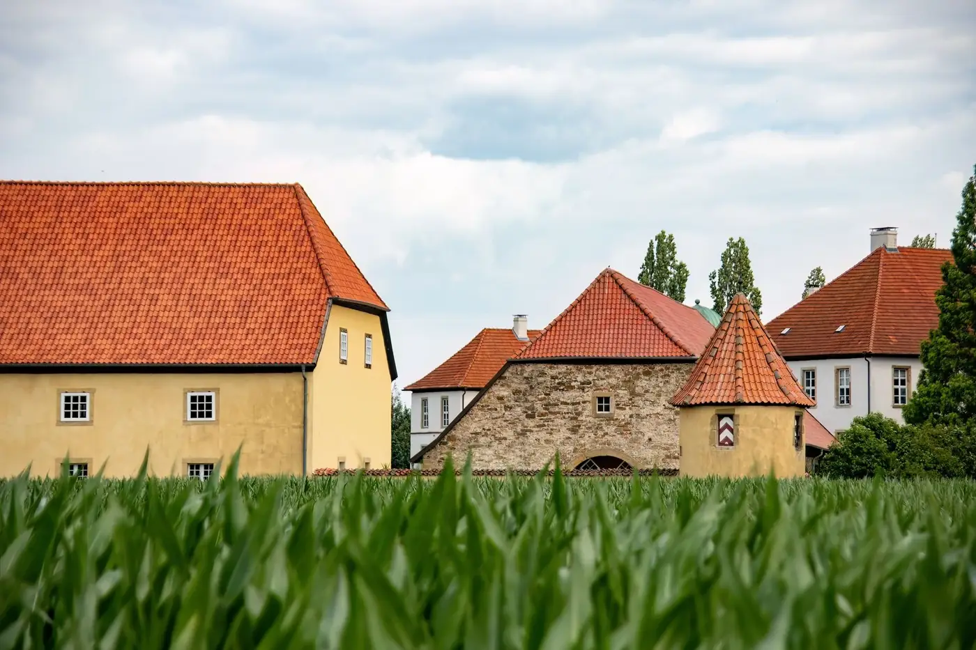 Picturesque scene of old buildings with red roofs amidst a cornfield in Bad Essen, Germany.