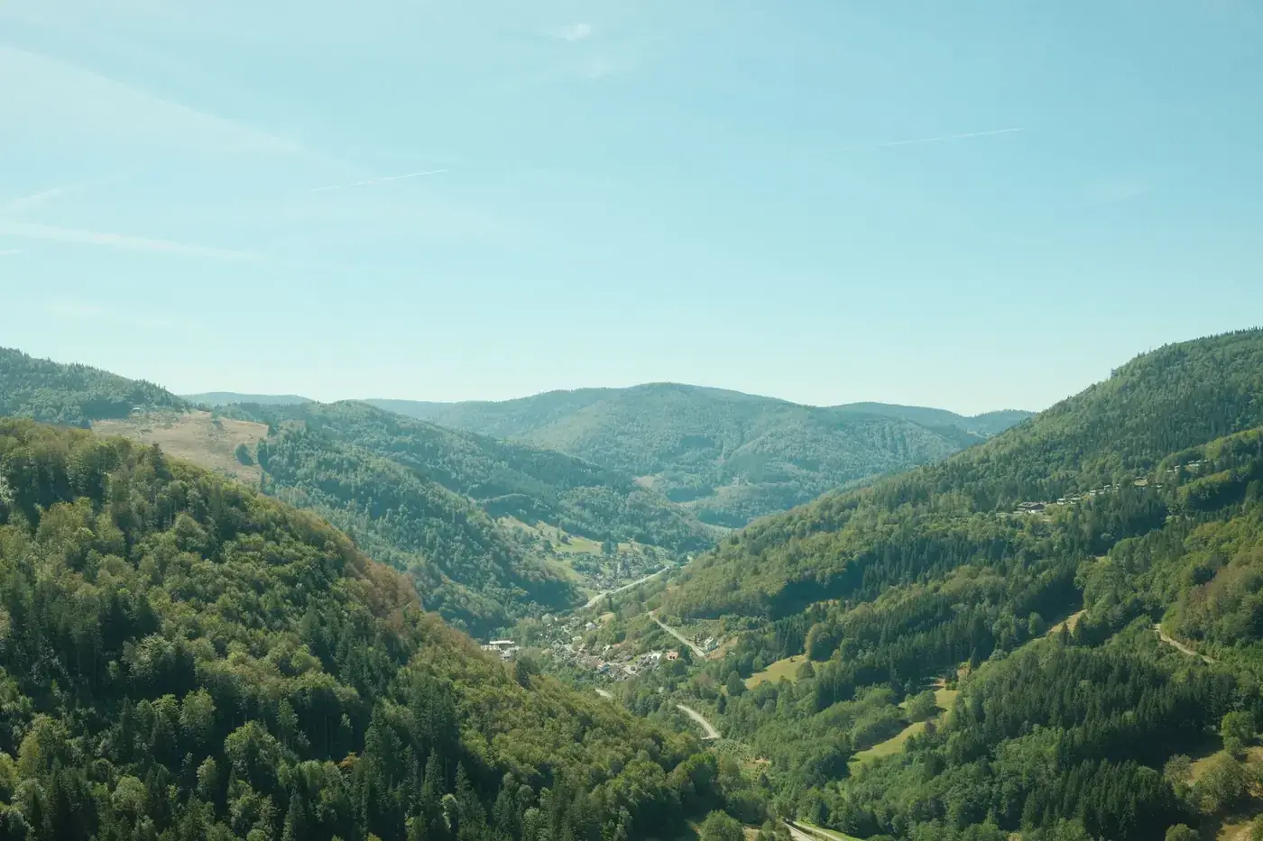 Aerial view of lush green hills and valleys in the Black Forest, Germany.