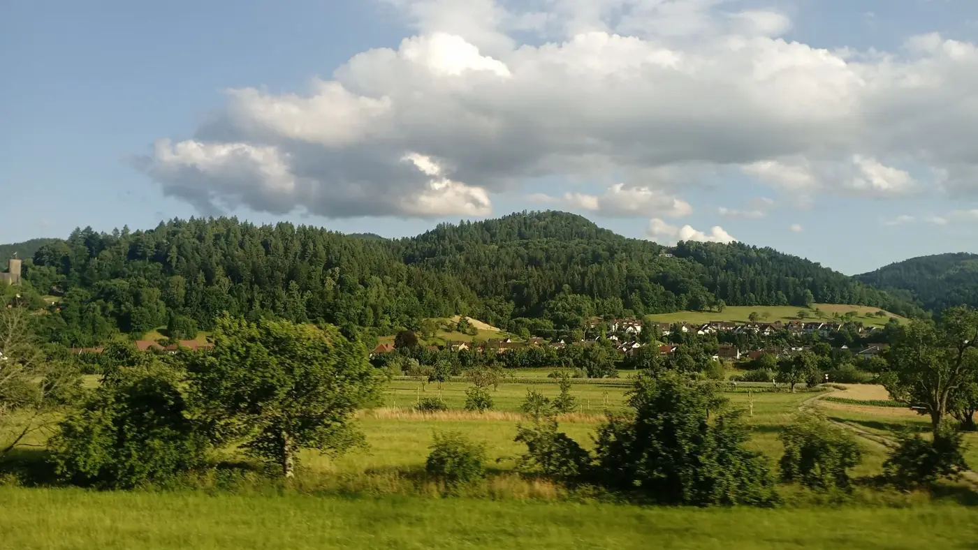 Idyllic summer landscape of the Black Forest in Germany with rolling hills and vibrant greenery.