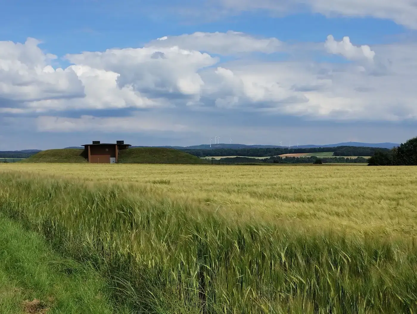A wide view of a wheat field in Germany with a modern building and wind turbines in the distance under a partly cloudy s