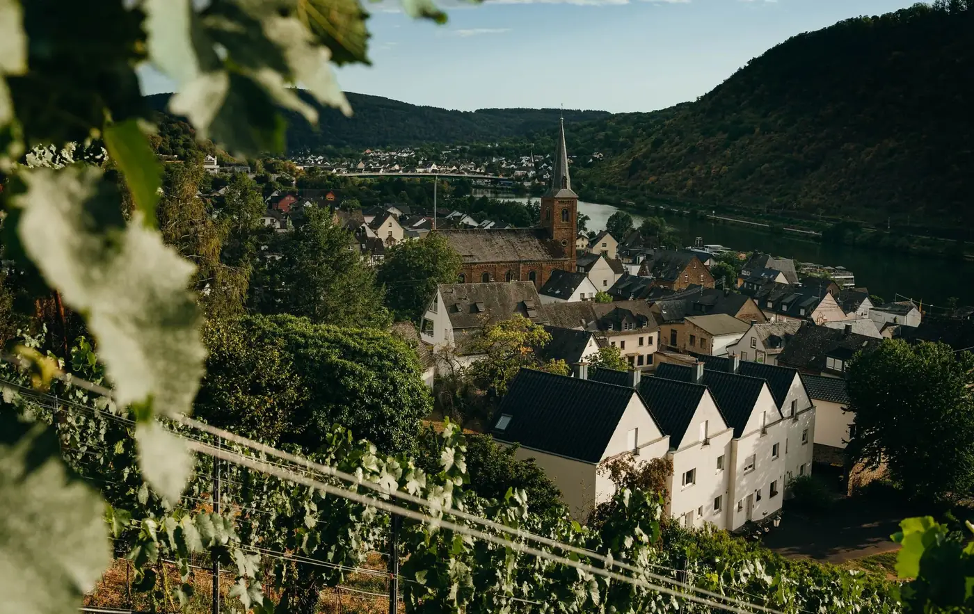 A picturesque village surrounded by lush vineyards by the river in a serene valley setting.