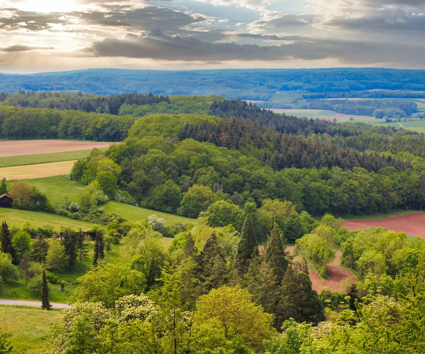 Aerial view of lush green countryside with forests and fields under a cloudy sky.