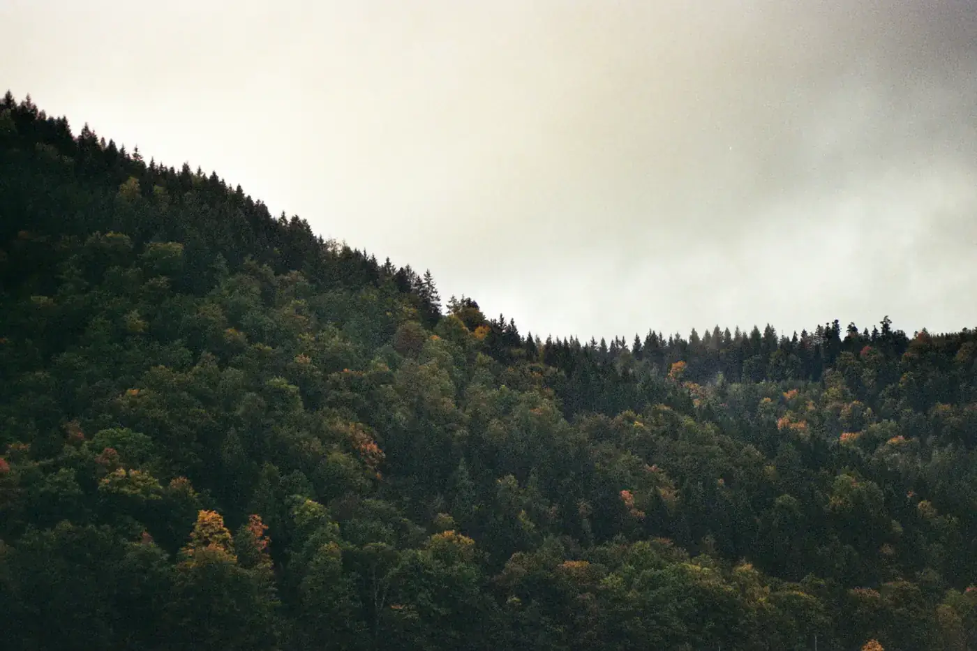 Freiburg