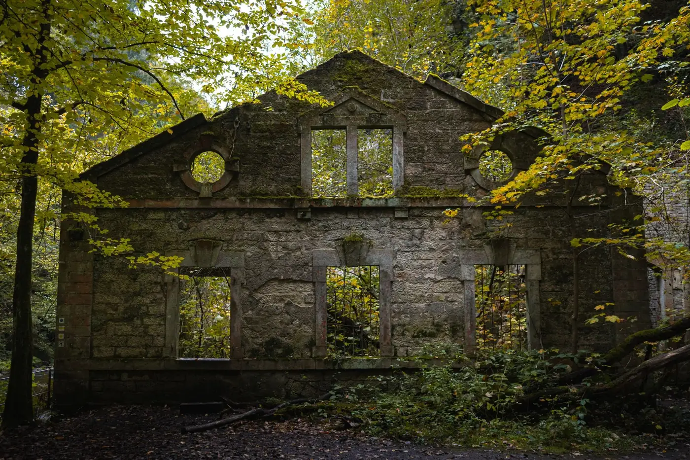 Explore the mysterious ruins enveloped by vibrant autumn foliage in Saxony, Germany.