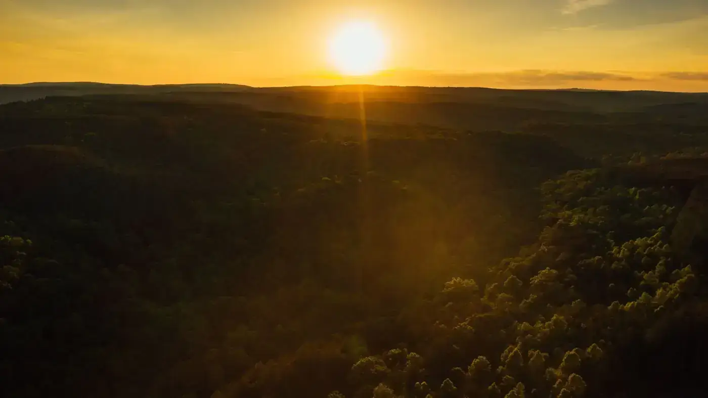 Picturesque drone view of bright sun on horizon evening sky above lush dark green forest
