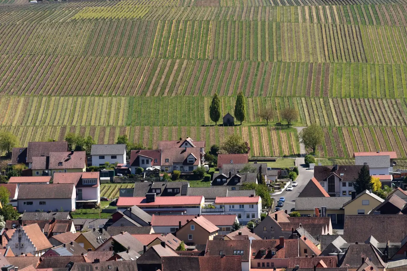 Scenic view of vineyards behind a quaint German village in Nordheim am Main, Bavaria.
