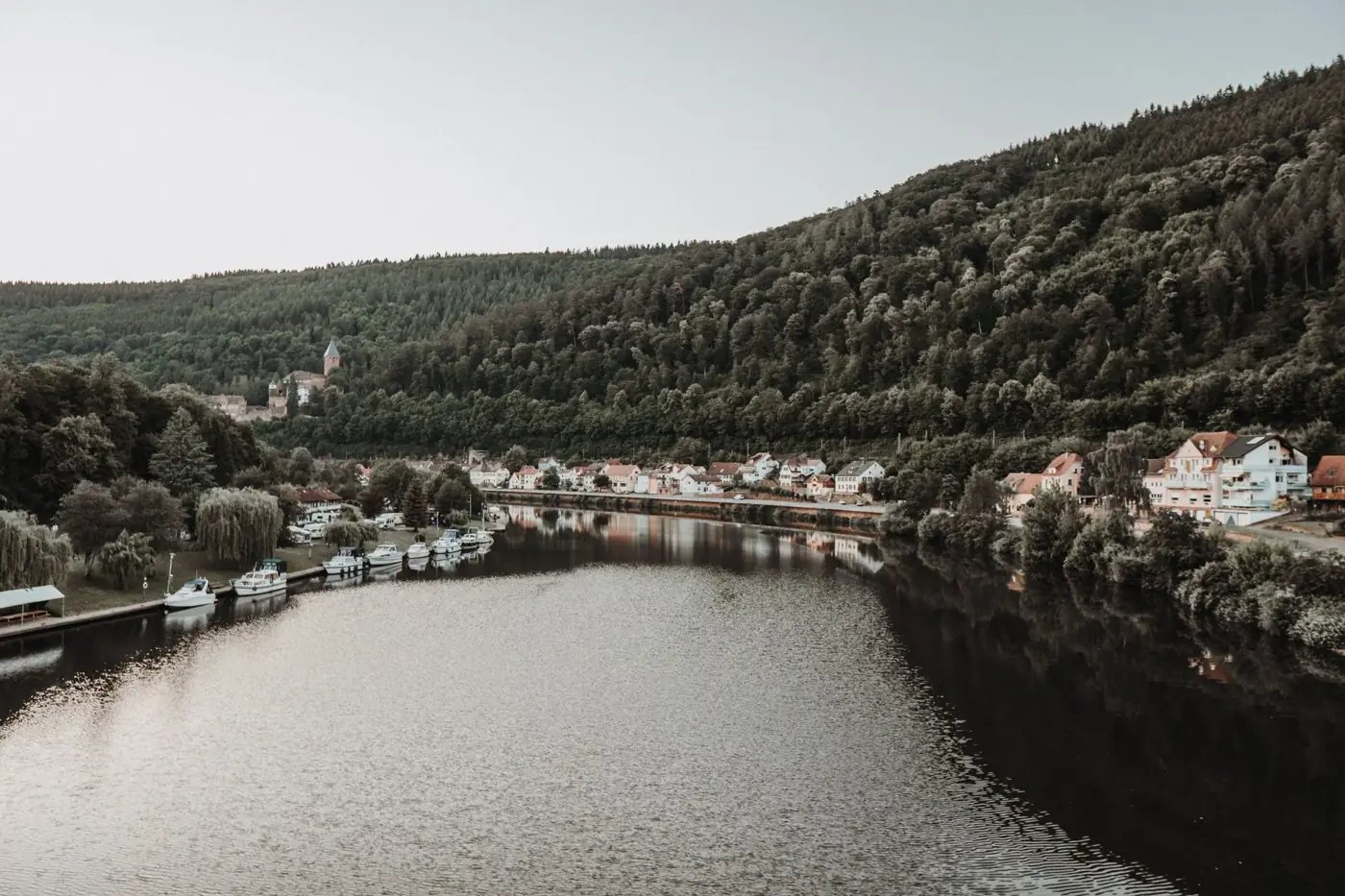 A picturesque view of a riverside town by a serene lake surrounded by verdant forests.