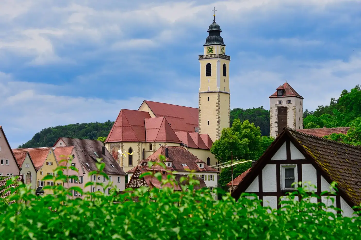 Scenic view of Horb am Neckar with church towers in a quaint village setting.