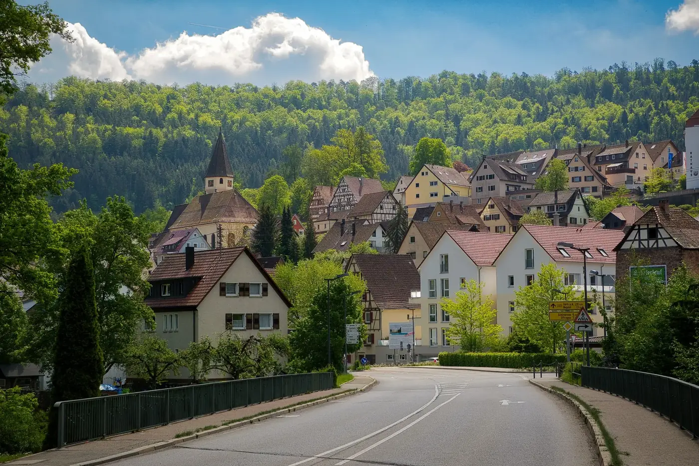 Scenic view of Wildberg, Germany with traditional homes and lush greenery under a clear blue sky.