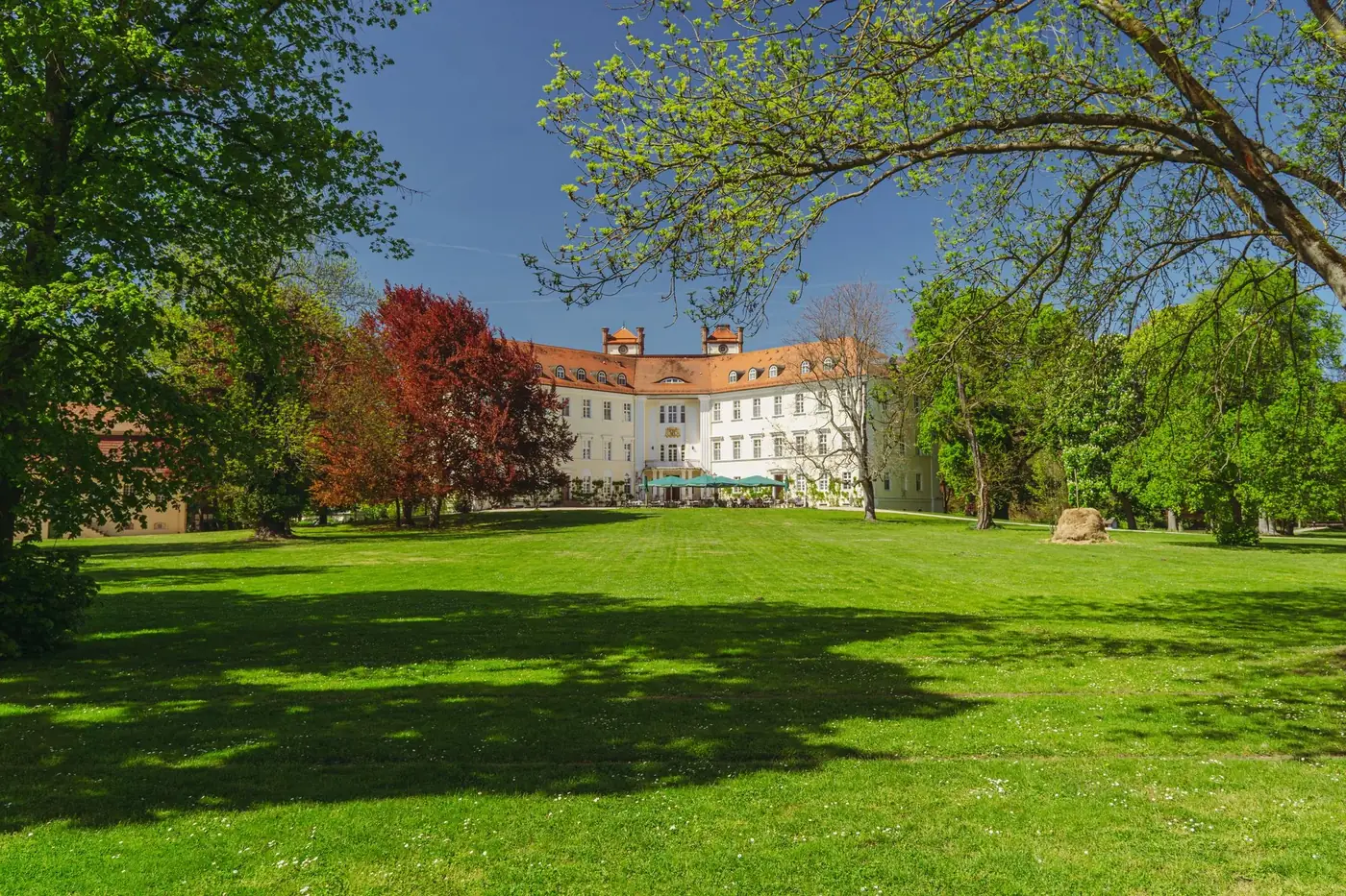 Spring view of Schloss Lübbenau, Brandenburg with lush greenery and a historic facade.