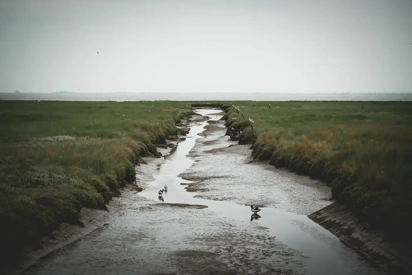 Langeoog