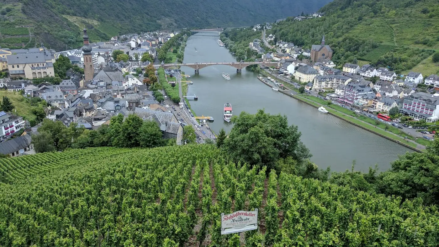 A picturesque view of the vineyards and river in Cochem, Germany, showcasing the town's charming architecture.
