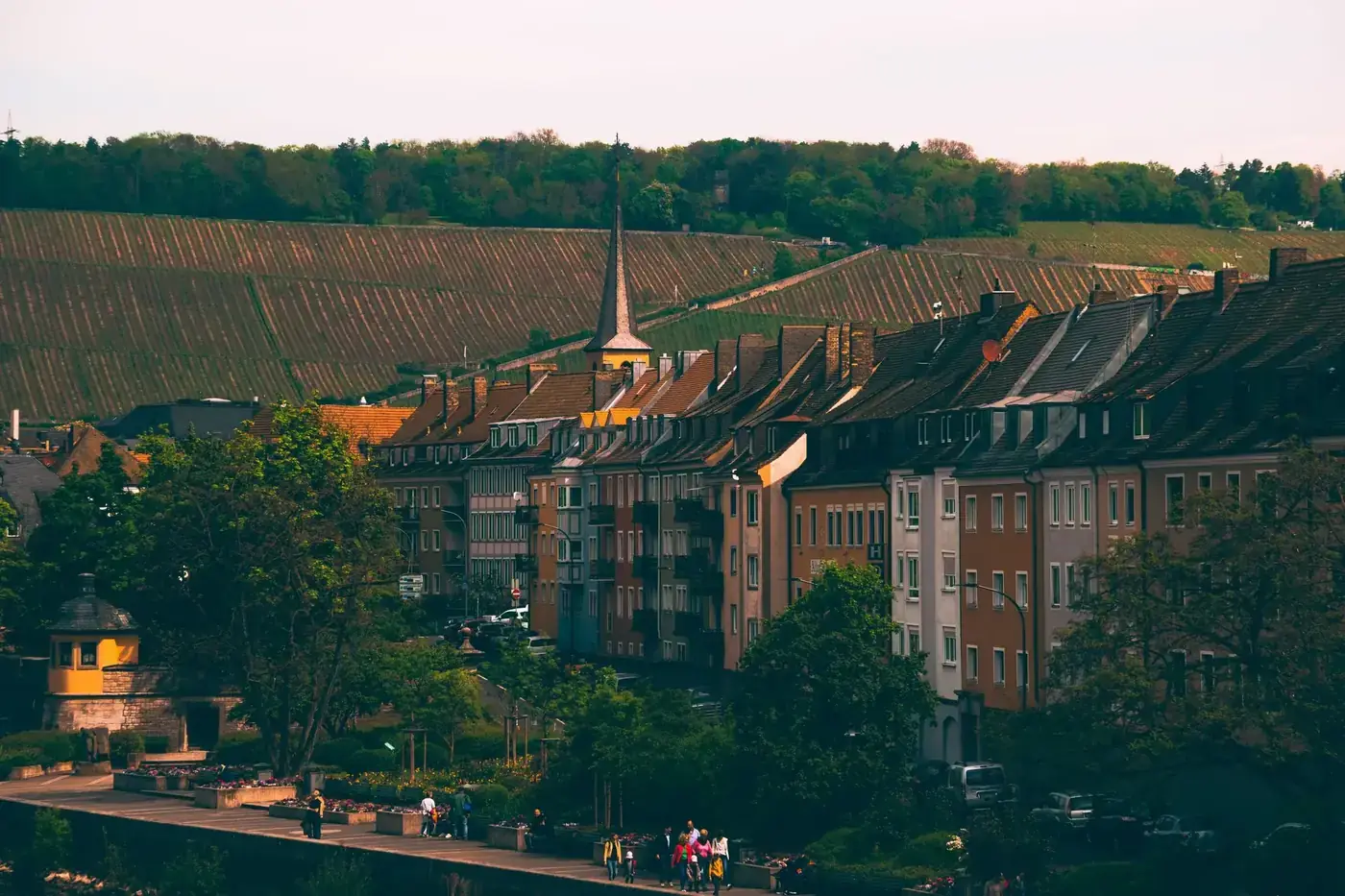 Scenic view of Würzburg's charming streets against a lush vineyard backdrop.