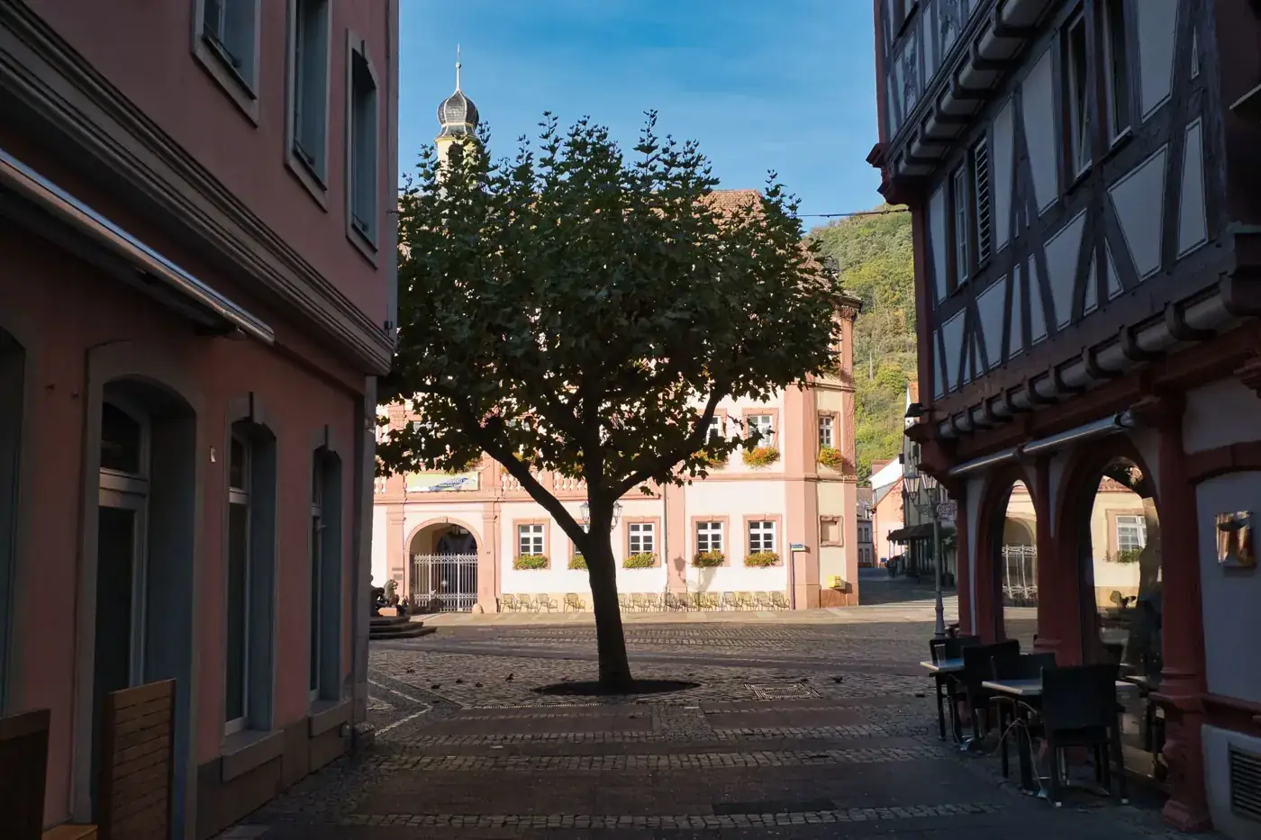 Charming street view of Neustadt an der Weinstraße, showcasing historic architecture and cobblestone roads in summer.