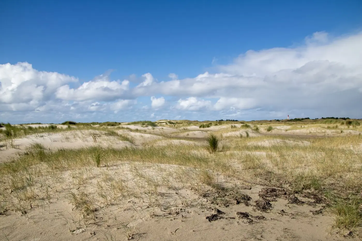 Peaceful view of sand dunes under a bright blue sky on Amrum island, Germany.