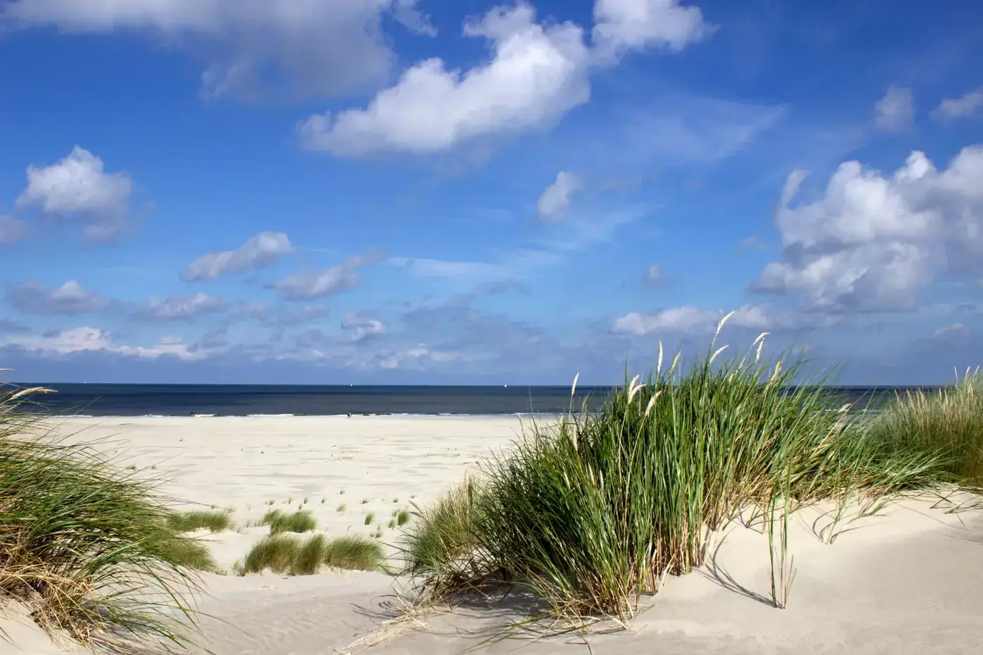 Beautiful view of a sandy beach with dunes under a bright blue sky.