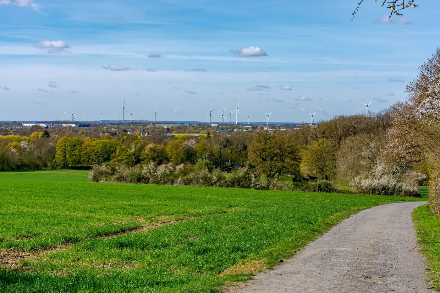 Picturesque green landscape in Coesfeld, Germany featuring wind turbines under a clear sky.