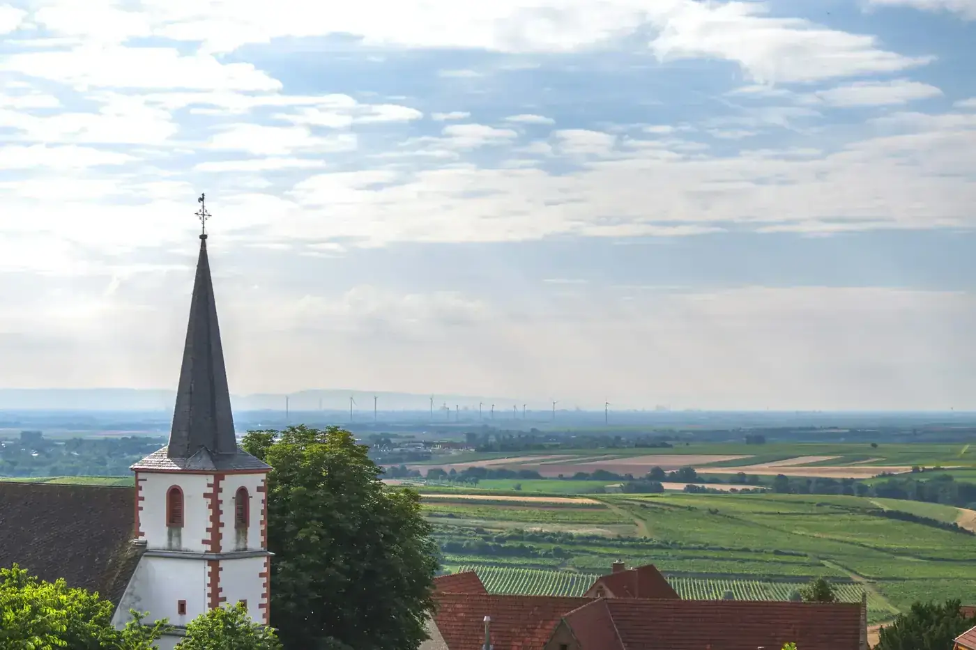 Rijnland-Palts