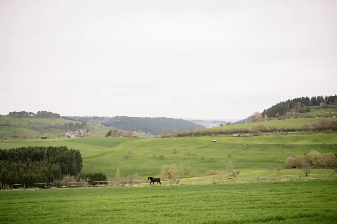 Expansive countryside with a horse on a green field under a cloudy sky.