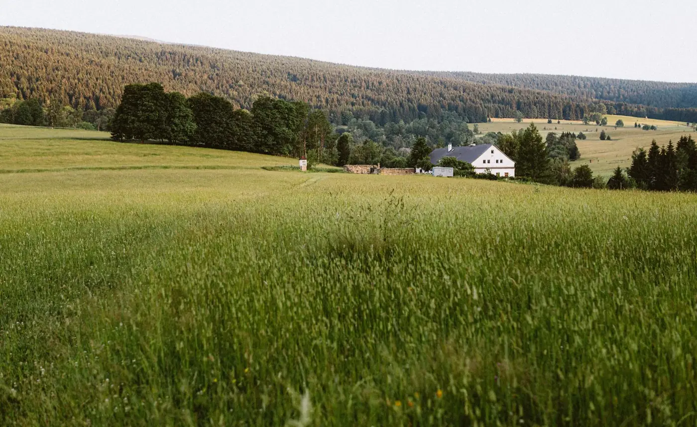 Tranquil meadow view in Jeseník, Czech Republic, with distant forests and rustic farmhouse.