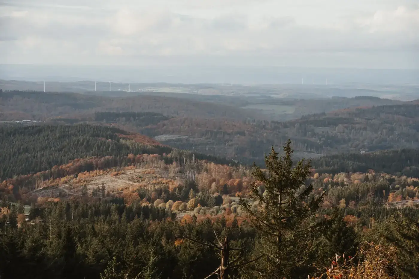 Captivating autumn view of forested hills in Germany with a sky backdrop.