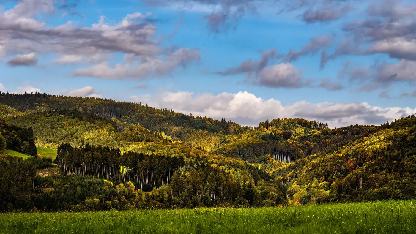 Scenic landscape of lush forested hills under a vibrant blue sky in Winden, Germany.