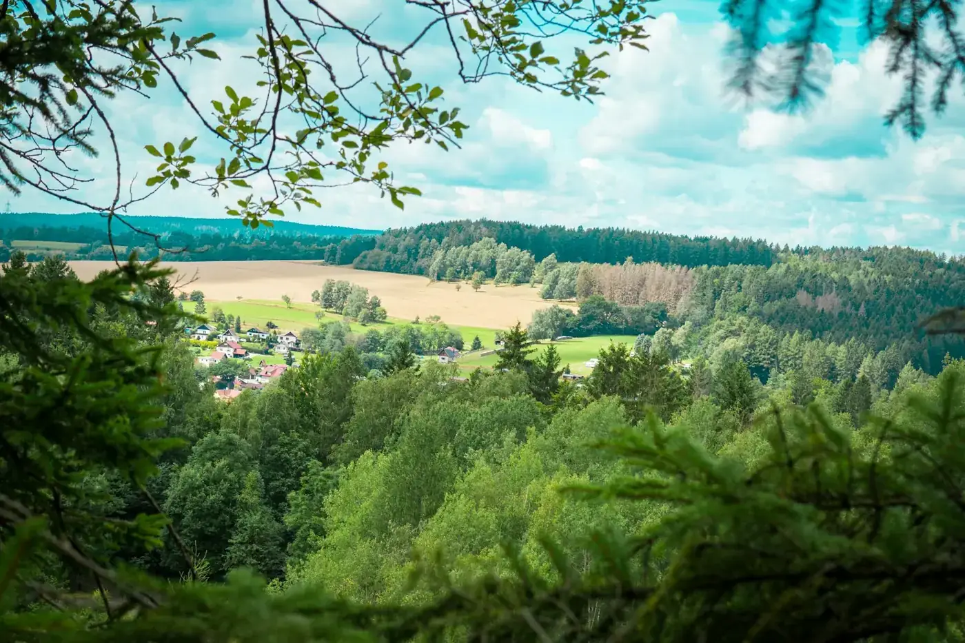 Thüringer Wald