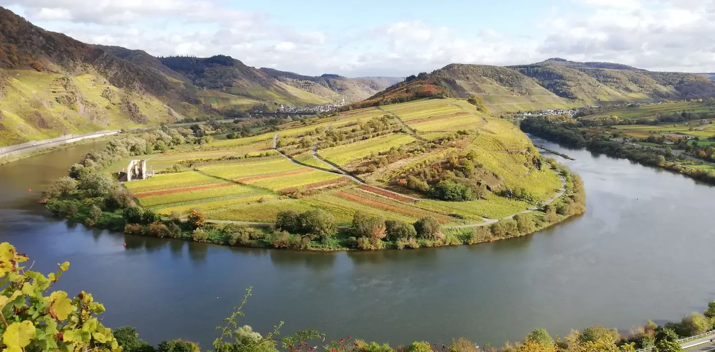 A stunning aerial view showcasing scenic vineyards along the Moselle River in Bremm, Germany.