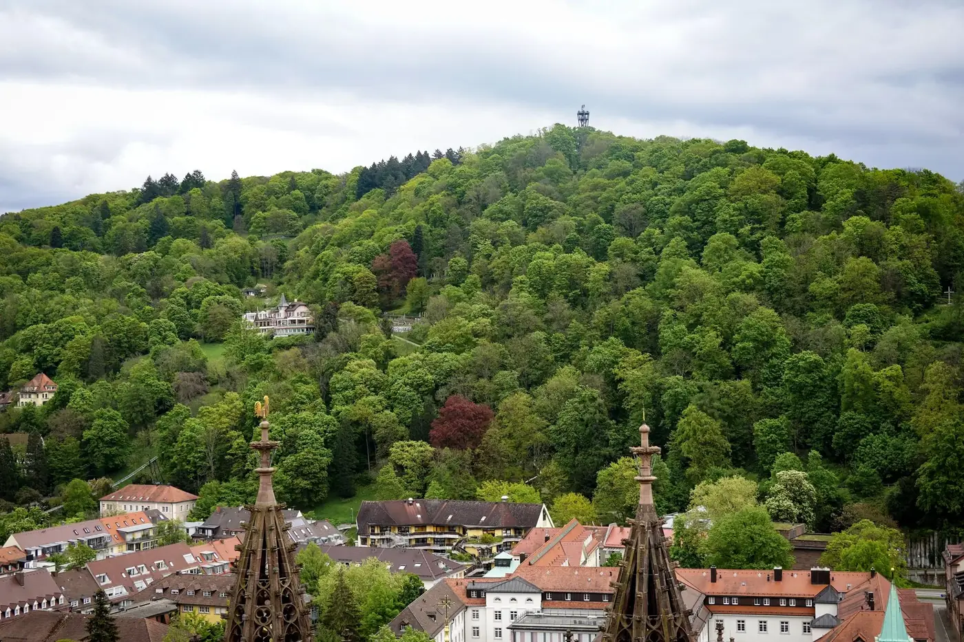 Aerial view of a charming German village nestled beside a lush green forest, showcasing Bavarian architecture.