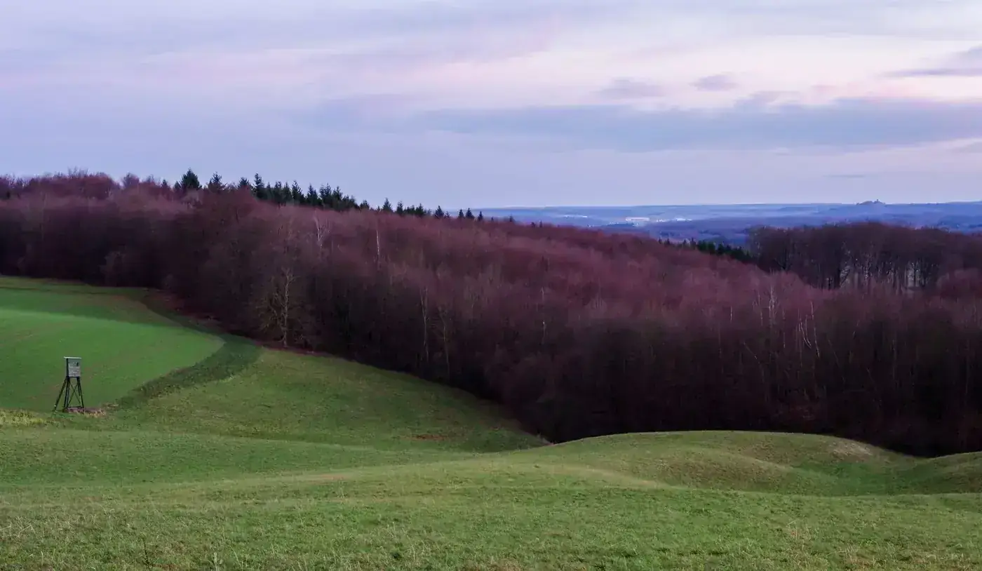 Peaceful landscape of Gaiberg, Germany with rolling fields and forest at dusk.