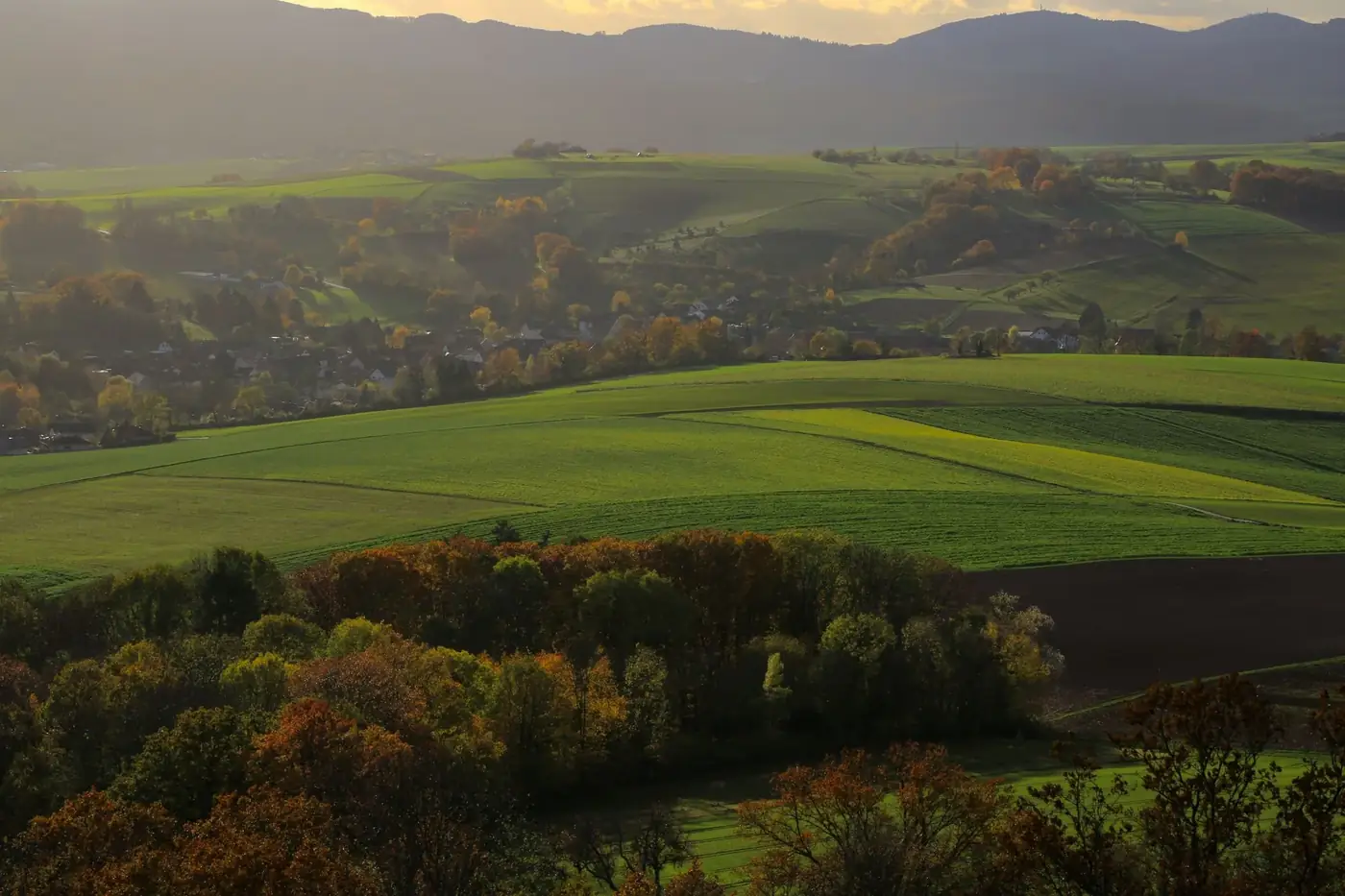 Breathtaking autumn view of the lush green fields in Fischbachtal, Hessen, Germany.