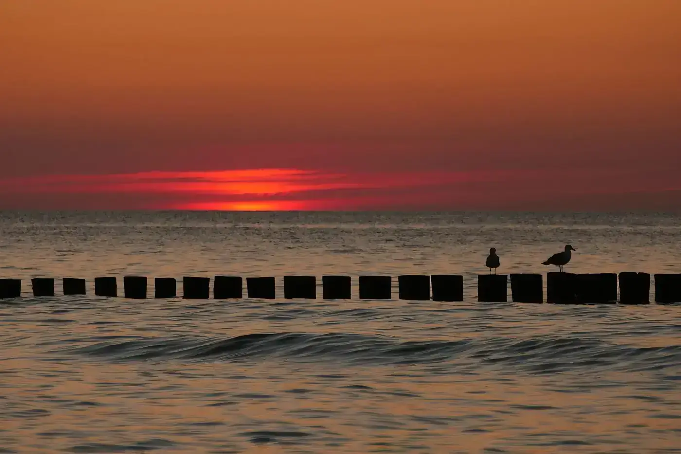 Zingst
