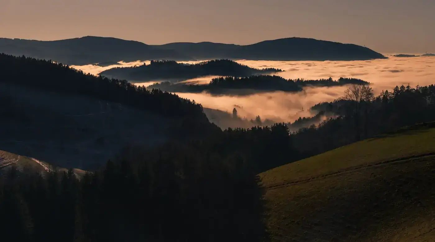 Serene twilight view of misty, forest-covered hills in the Black Forest, Germany.