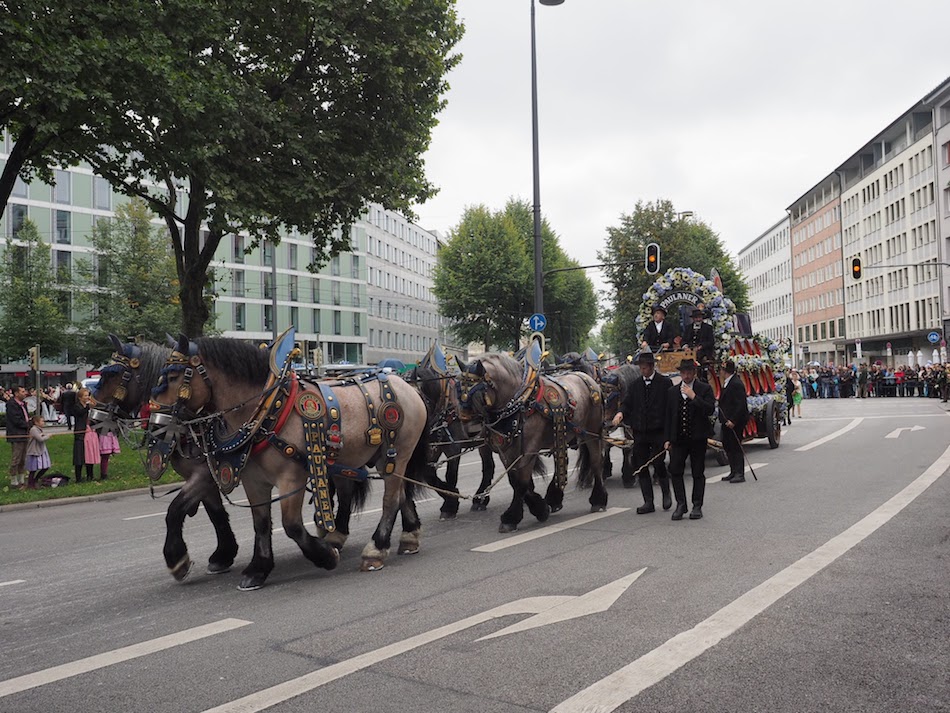 München Augustines zijn Oktoberfest paardenkoetsen