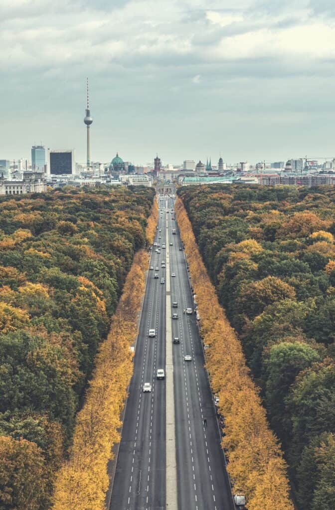 Groen van een park rondom Mitte Berlin en de Berlijnse toren in de verte